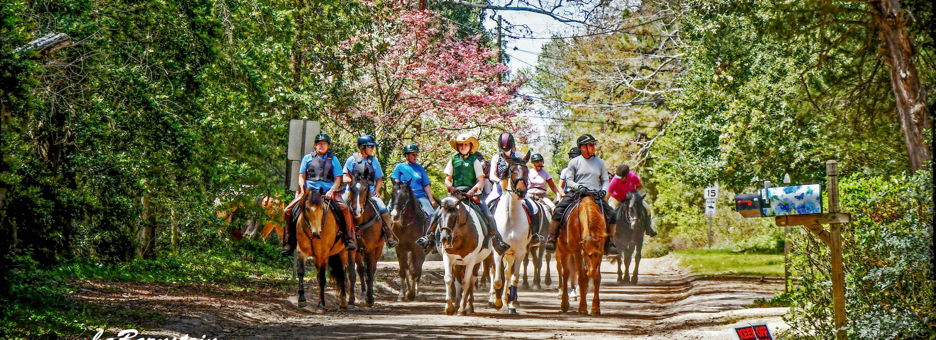 Here are the best fall events in Aiken, SC