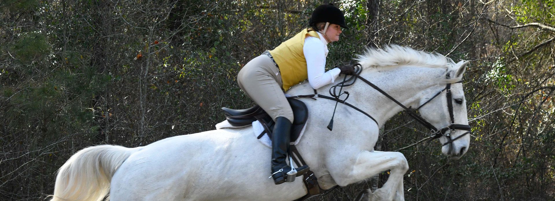 Home Welcome To Aiken Horse Realty home-welcome-to-aiken-horse-realty