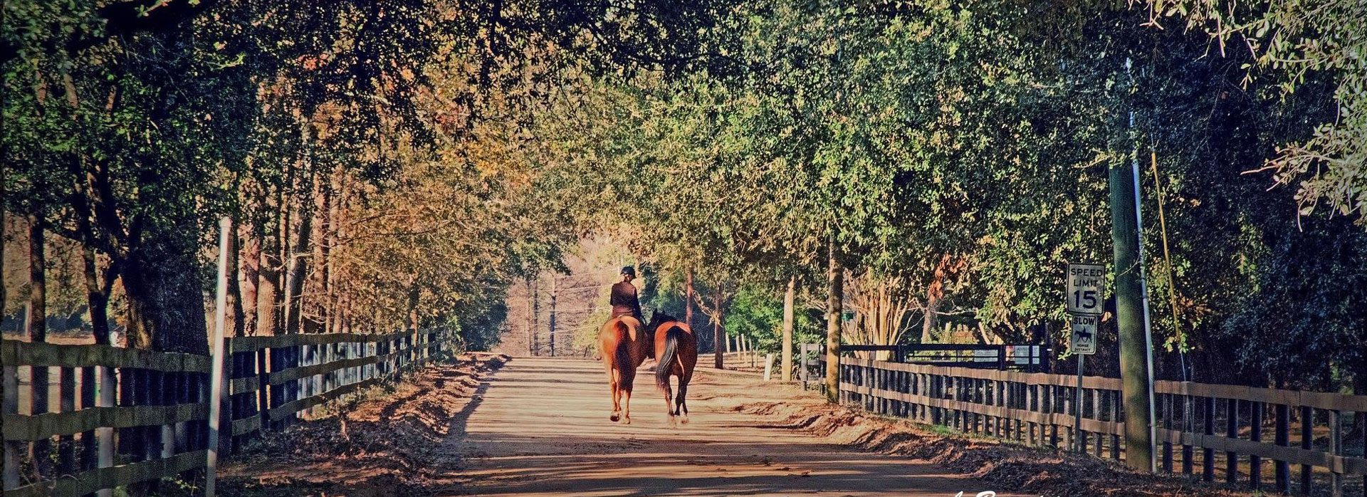 Home To Aiken Horse Realty