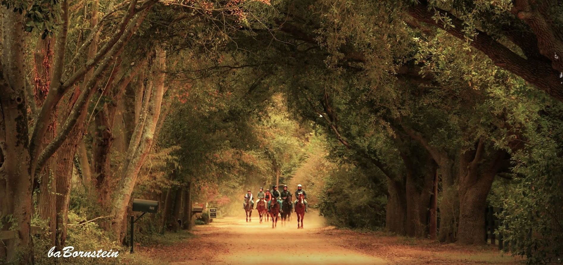 Jumping Branch Farm  Eventing Training Facility in Aiken, SC