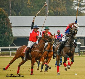 Polo is one of the best fall events in Aiken, SC.