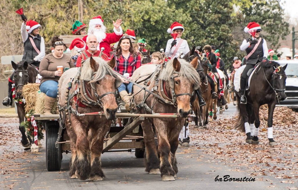 Home To Aiken Horse Realty