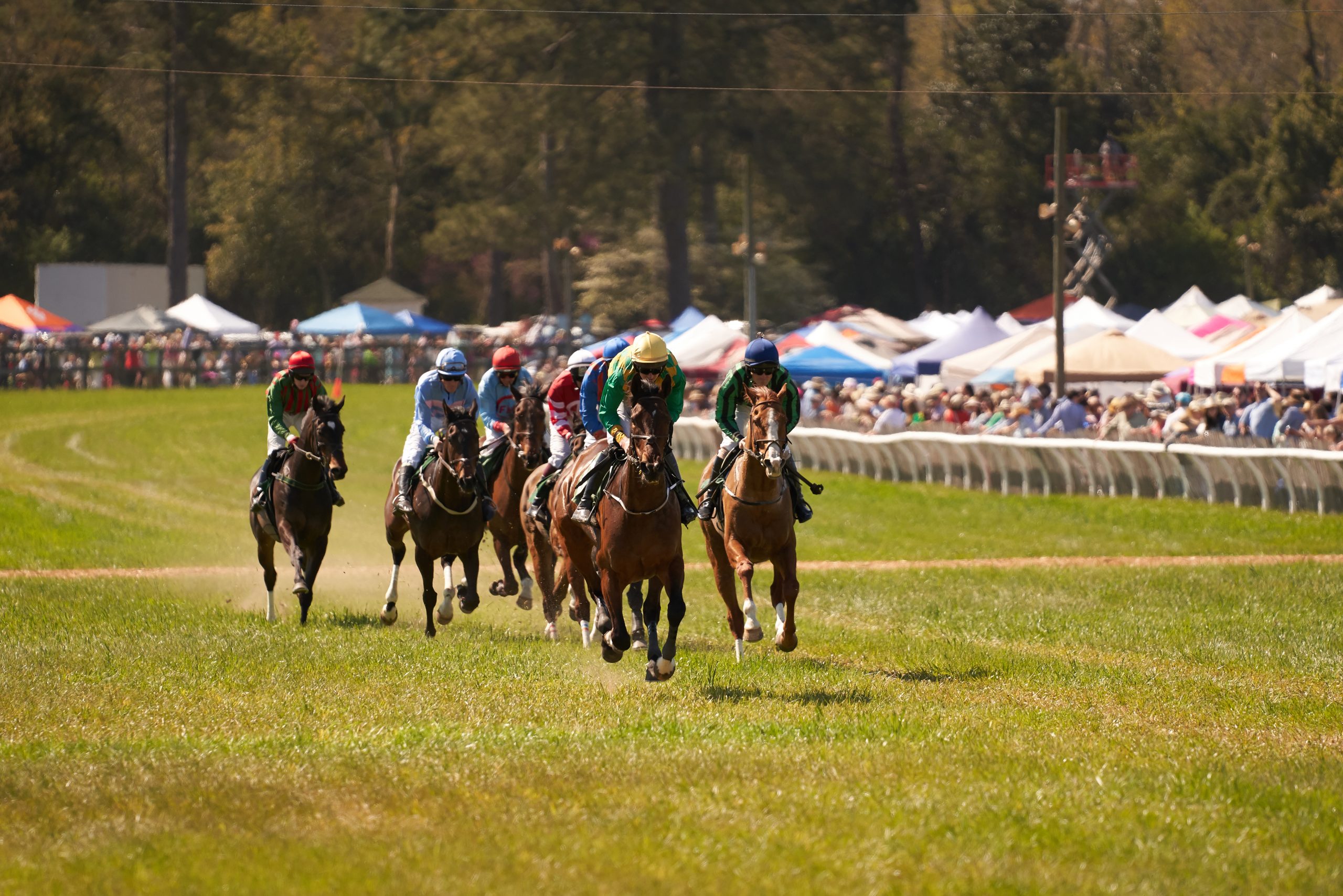 Steeplechase is one of the best spring events in Aiken, SC, in 2022
