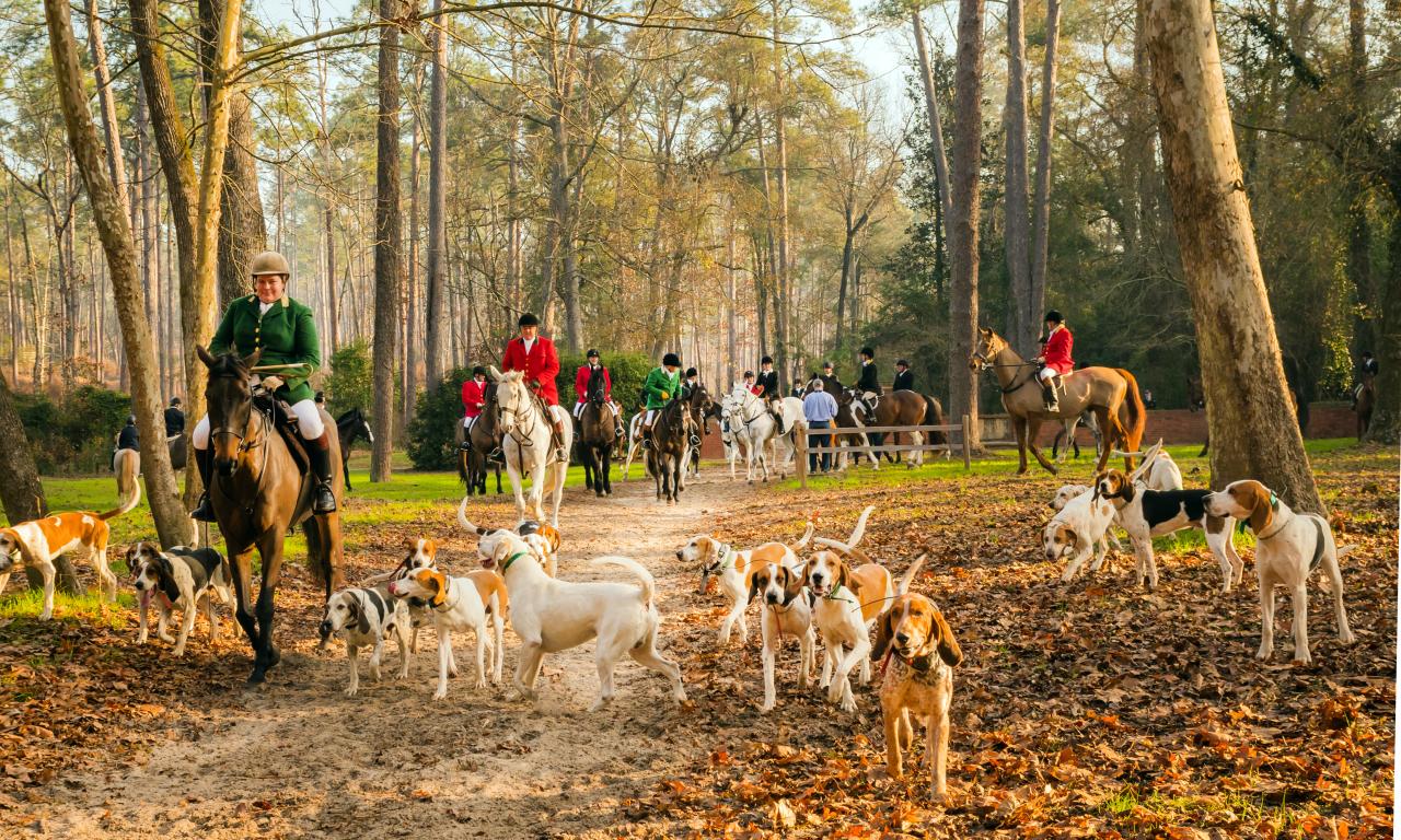 Here are the best events in Aiken, SC fall/winter 2025