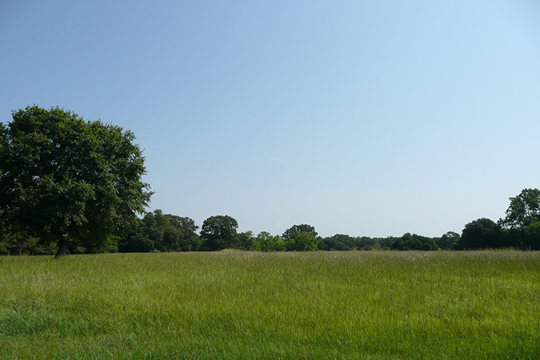 Aiken SC Realtor